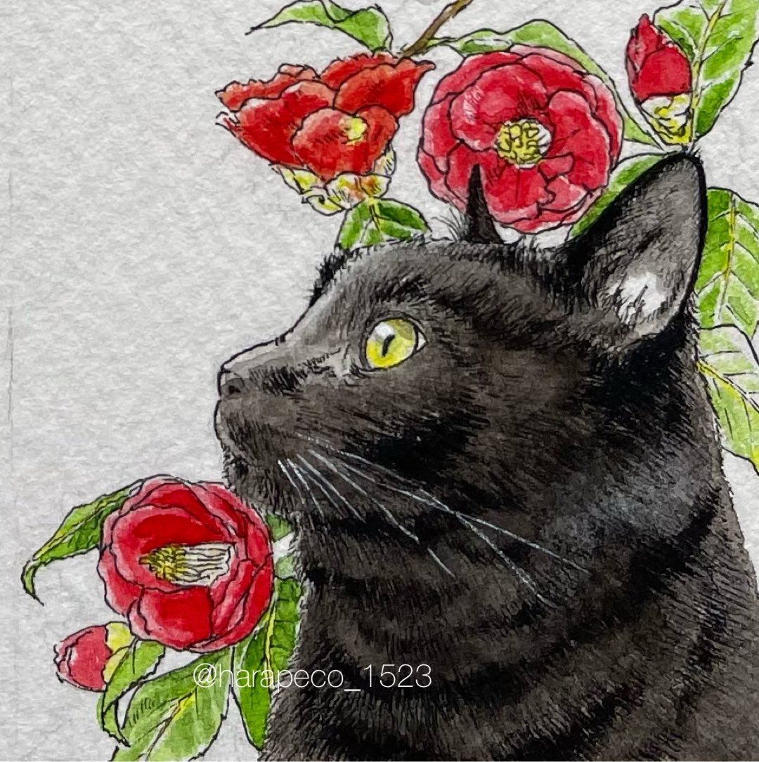 原画#598 猫 黒猫 花 水彩画 ドローイング インテリア イラスト 